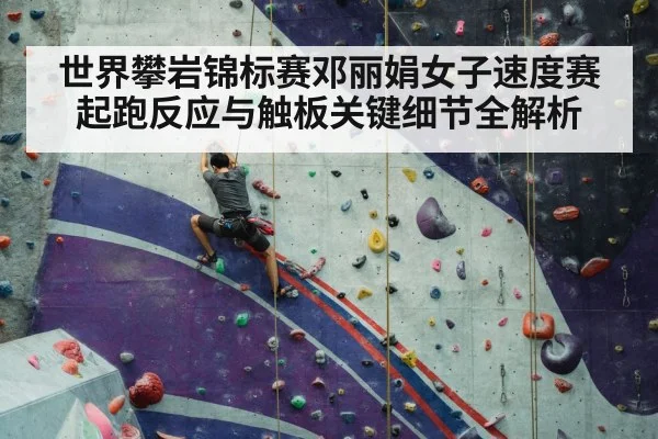 sport climbing competition wall