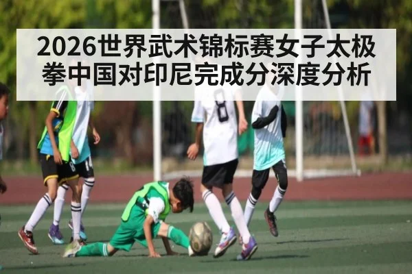 2026世界武术锦标赛女子太极拳中国对印尼完成分深度分析