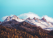 ESPN直播-前总裁起诉申通快递,要求分得前妻名下2028万股股权